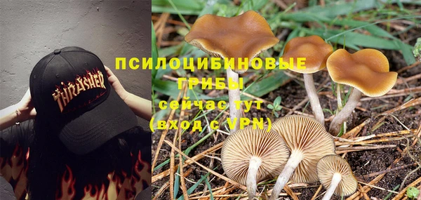 a pvp Богородск