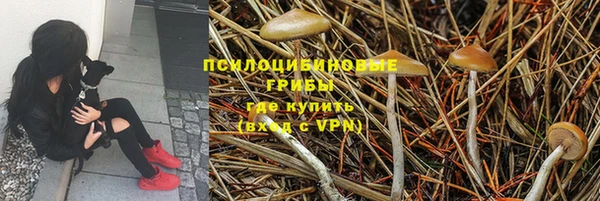 СК Богородицк