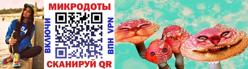 блэк спрут вход  Морозовск  Псилоцибиновые грибы Magic Shrooms 